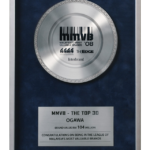 MMVBaward-2008
